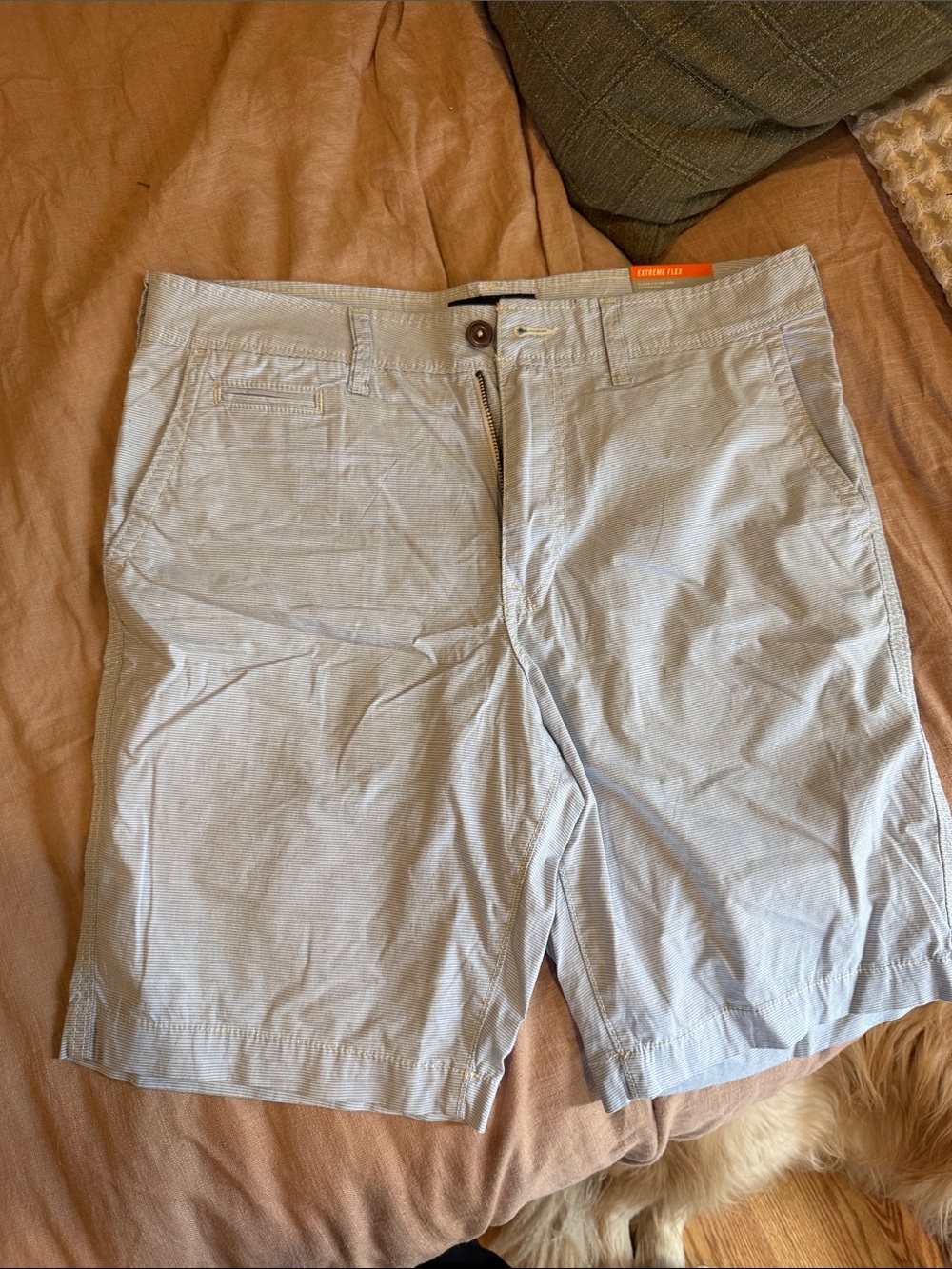 American Eagle Outfitters Light Blue Men's Flat Front Chino Shorts